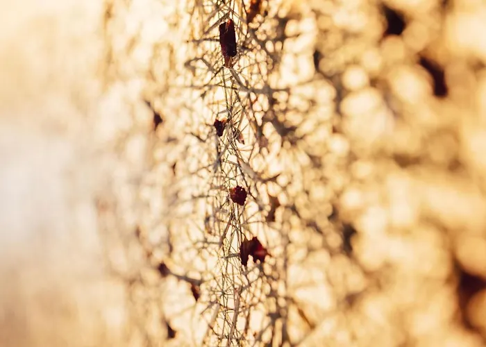 ホテル Lisl - Alpine Comfort 3*