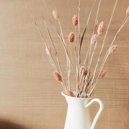 Lisl - Alpine Comfort 호텔 퀴타이