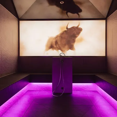 Lisl - Alpine Comfort 호텔 3*